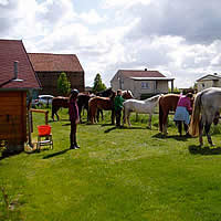 Wanderreitstation Grünefeld